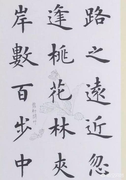 毛笔字体楷书作品