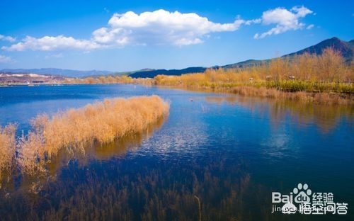 重庆普兴属于哪个区