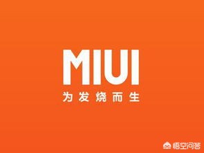 [手机升级]手机怎样更新回以前版本？