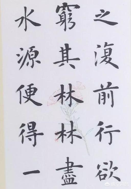 毛笔字体楷书作品