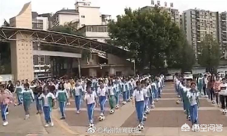 梅州专业搭建网站公司排名