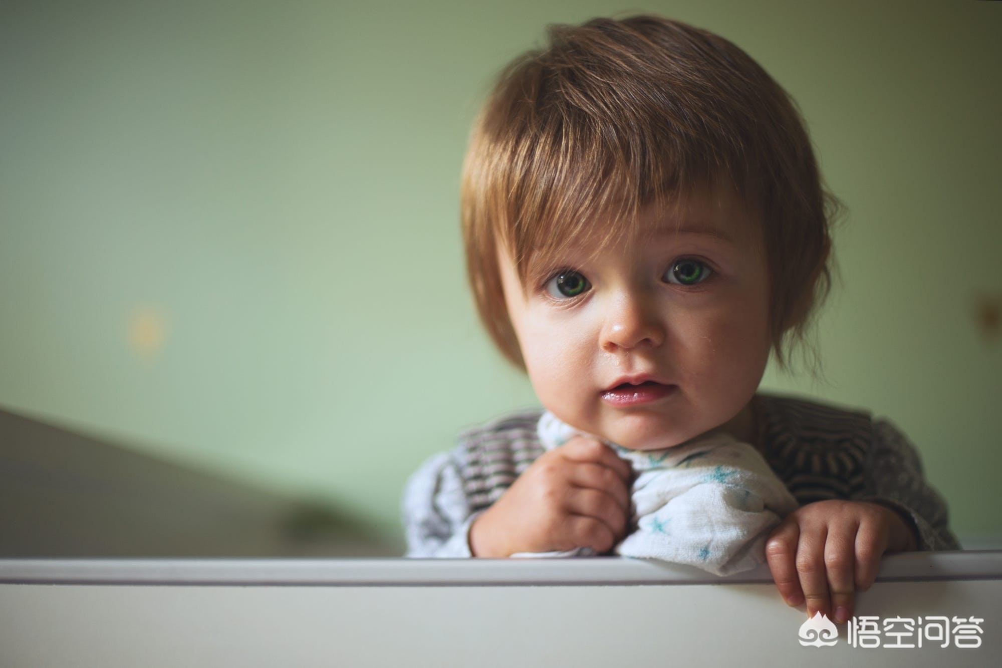 相机af（相机中的AF是什么意思？）