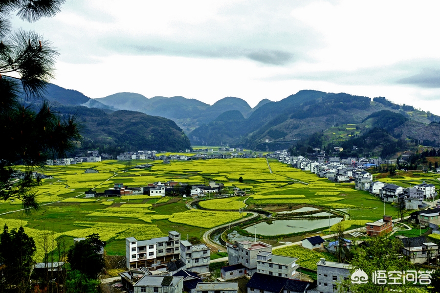 [桔子红了]《桔子红了》这部电视剧，你觉得好看吗？