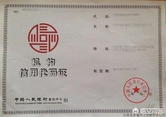 征信查询搭建网站
