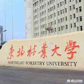大连市林业局什么级别