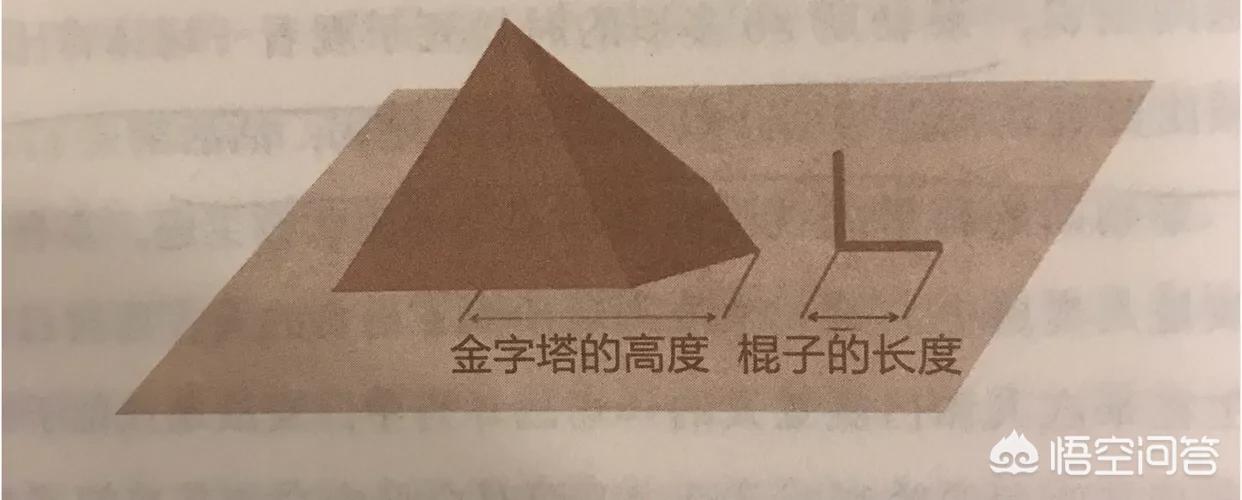 数学什么东西最好学的知识，数学什么东西最好学的知识图片