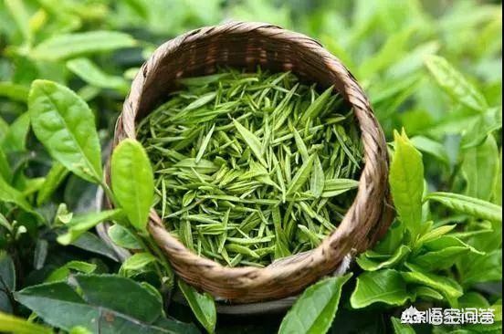 景德镇东风风光汽车报价,景德镇东风风光汽车报价查询