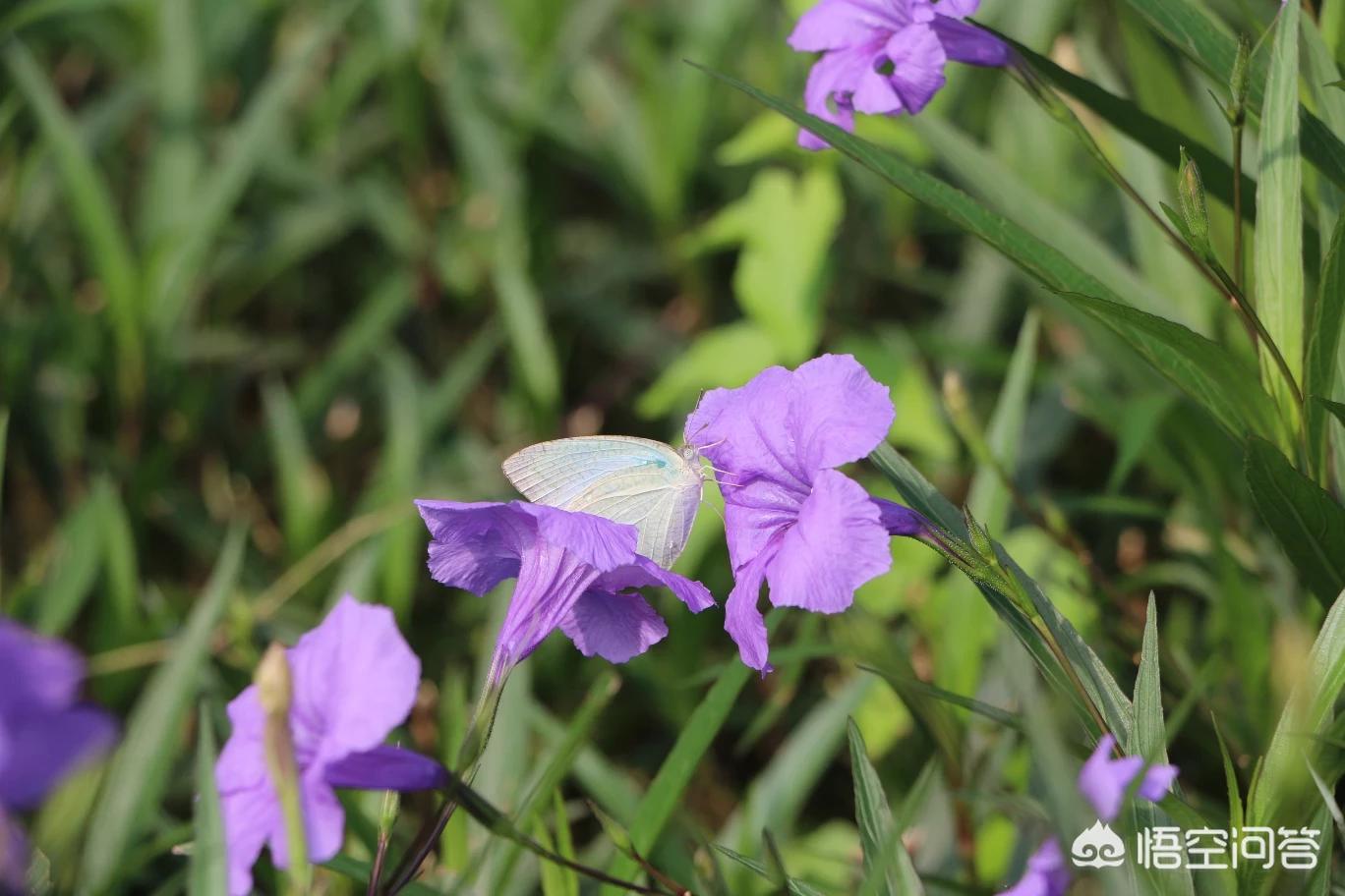 跨境电商哪些 跨境电商哪些