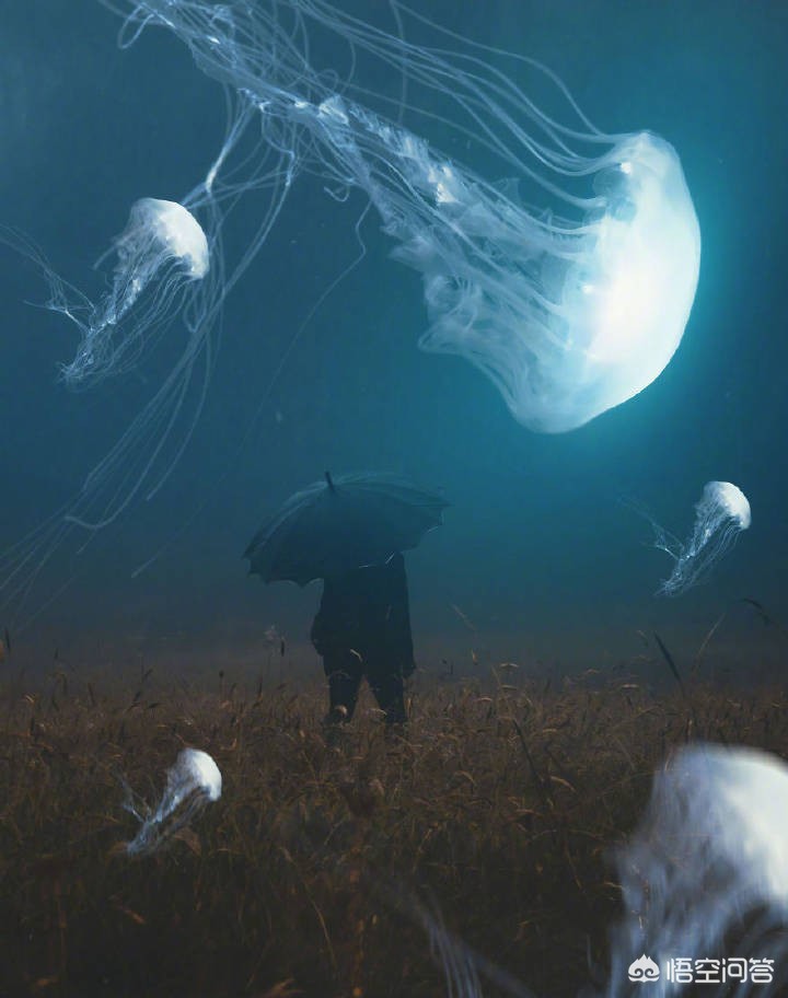 立下flag立flag啥意思 立下flag立flag啥意思