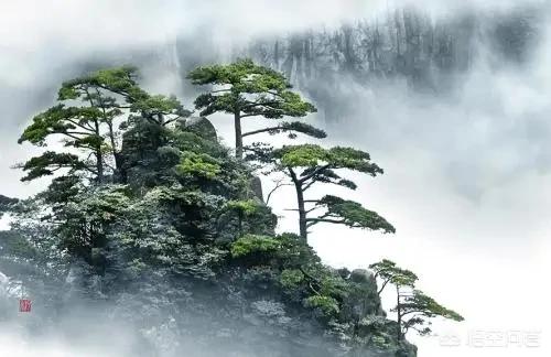 [气功研究所招聘博士]许多人说气血不好，这里所说的“气”和“血”是什么？气功所指的“气”又是什么？