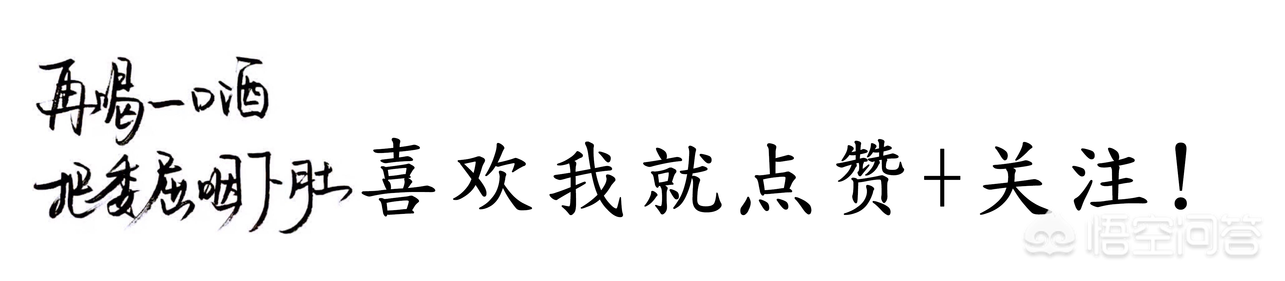 智道汽车报价,智道汽车报价多少