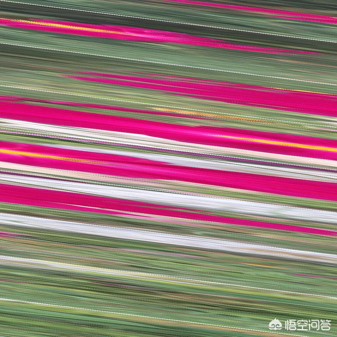 在中国历史上，你认为有哪些抒写春节的佳作？