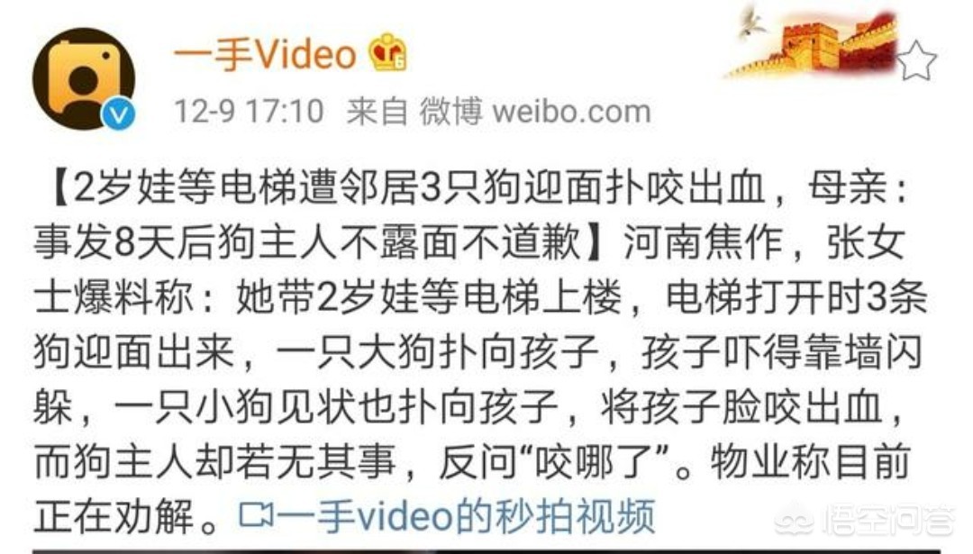 如何看8月30港铁天颂天颂小区，女孩电梯多次摸别人怀中的狗后被咬，女孩家长在社区调解后上门杀狗伤人？：乘电梯被狗扑咬出血