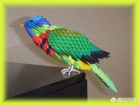 暑假作业被狗撕碎（狗狗把洗碗布撕碎吃了怎么办呢？）