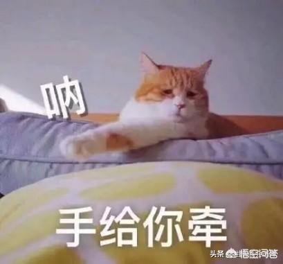 05年电脑配置8000元