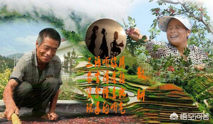 买好（买洗衣机在唯品会买还是京东买好？）