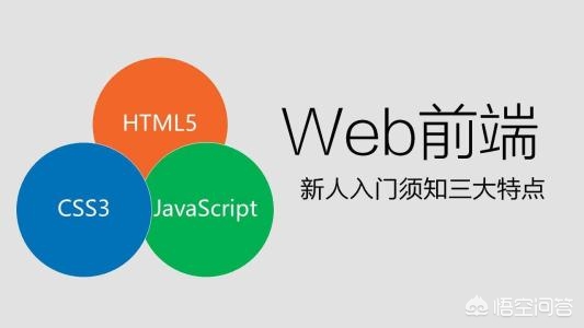 搭建网站平台有前途吗