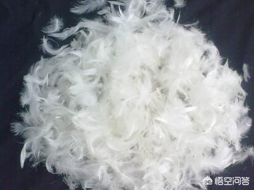 羽绒服推荐羽绒服推荐品牌性价比 羽绒服推荐羽绒服推荐品牌性价比