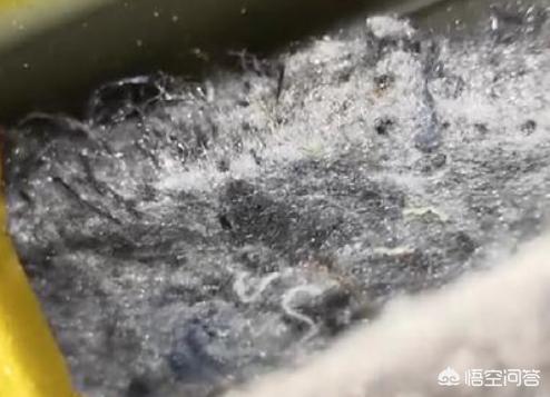 大众cc和奥迪a4