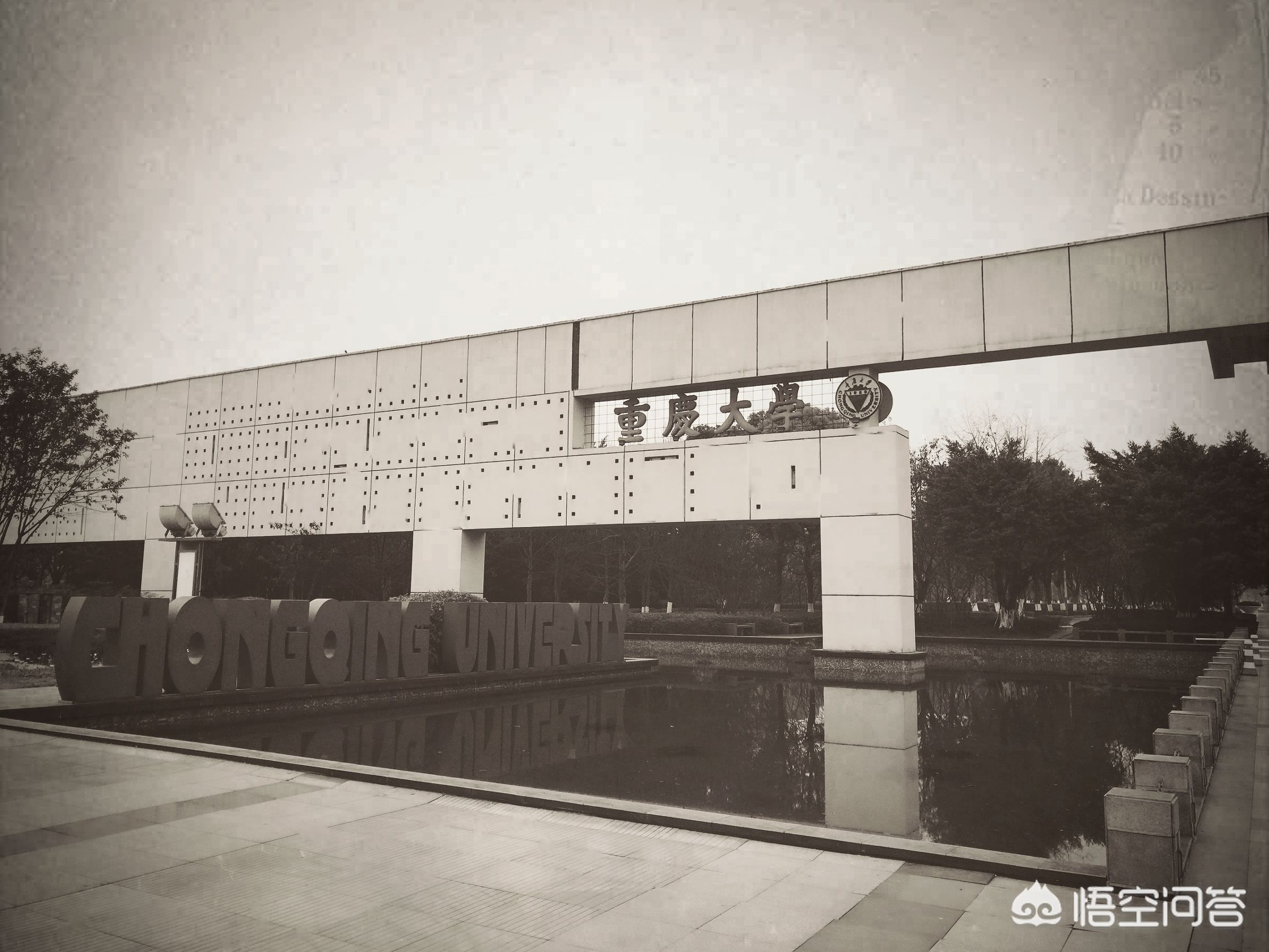 大连市与重庆市哪个好