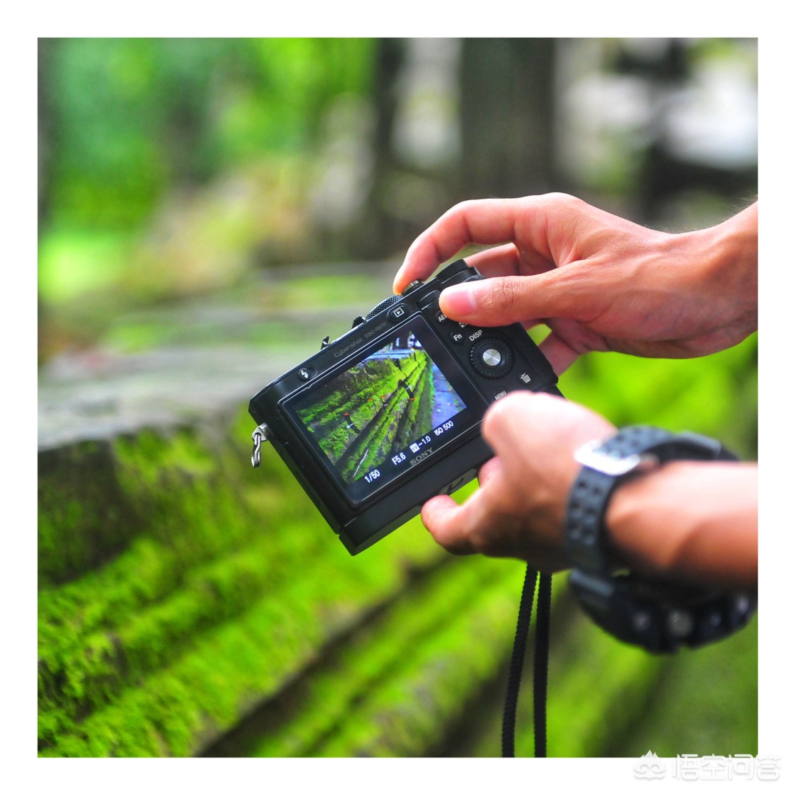 索尼RX1好不好，优缺点，是否值得买？：索尼rx1