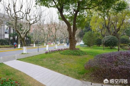 在大学学习专业知识，大学专业知识在工作中有用吗