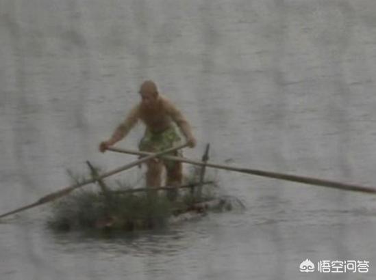 猴子海外生活视频大全，猴子海外生活视频大全集