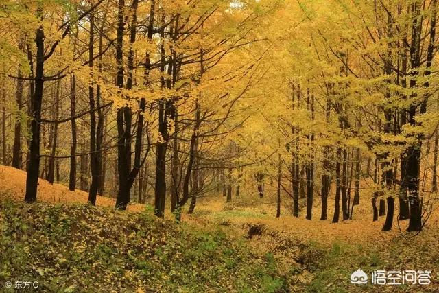 最感人的情话最感人的情话让人流泪