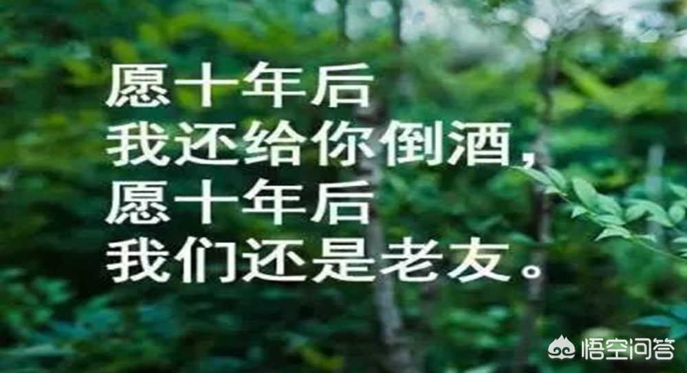 森林大帝剧场版，森林大帝剧场版1997国语版