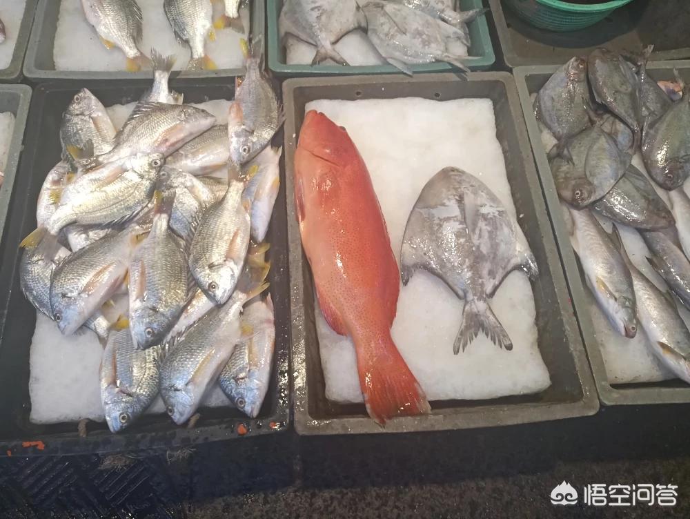 厦门菜市场排名？