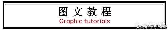 搭建网站的软件免费
