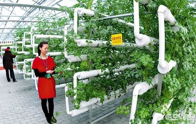 海外生活的成熟女人图片，海外生活的成熟女人图片大全