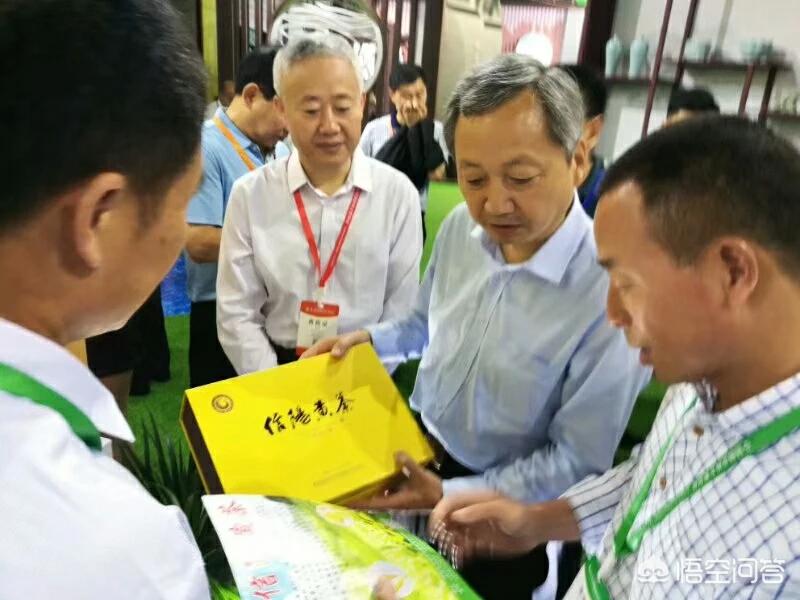 商城县的信阳毛尖怎么样？