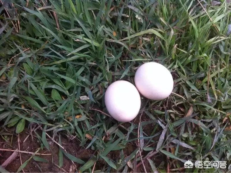 女人学什么知识比较好学，女人学什么知识比较好学一点