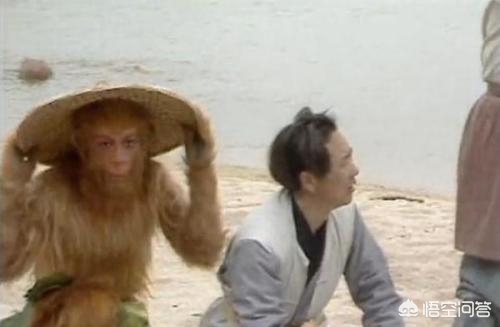 猴子海外生活视频大全，猴子海外生活视频大全集