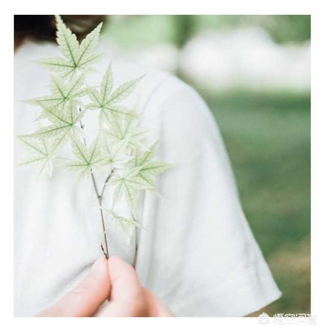 雷峰图片雷峰图片绘画 雷峰图片雷峰图片绘画