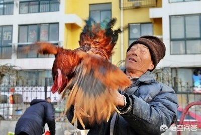 买好（买洗衣机在唯品会买还是京东买好？）