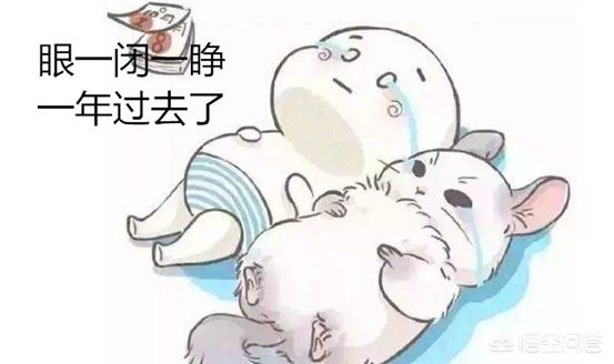 快过年了(为什么快过年了?) 快过年了(为什么快过年了?)