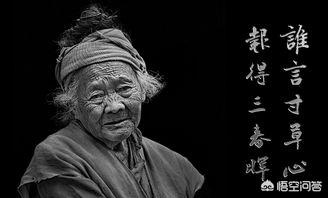 免费打工20年救母亲