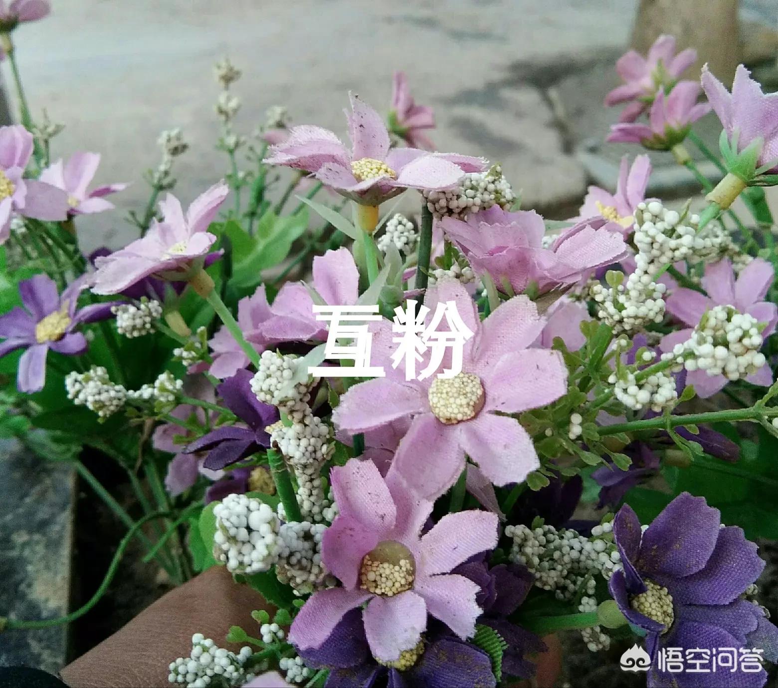 河南谷堆是哪个地方