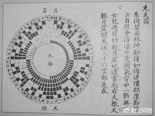 死馆女主叫什么? 死馆女主叫什么?