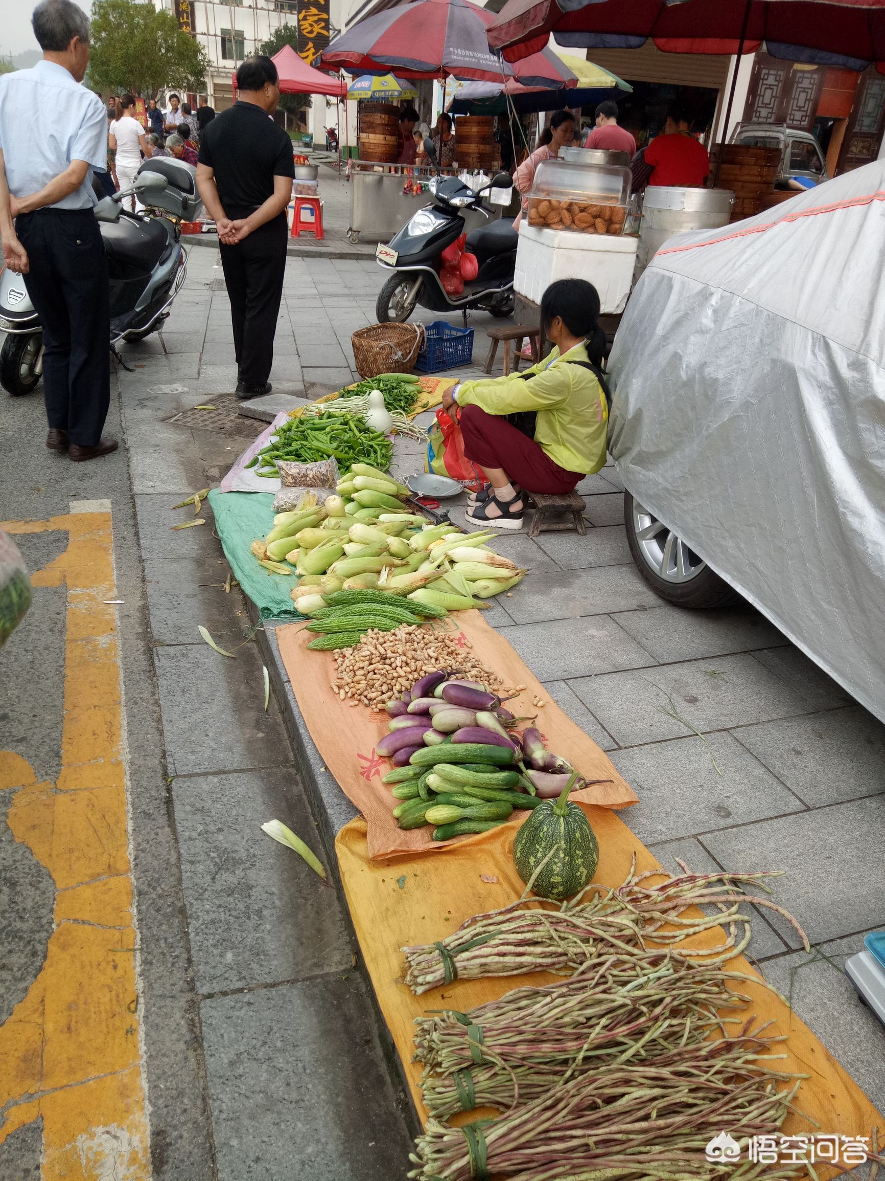宁乡沩山还有哪些发展，旅游是否继续开发？