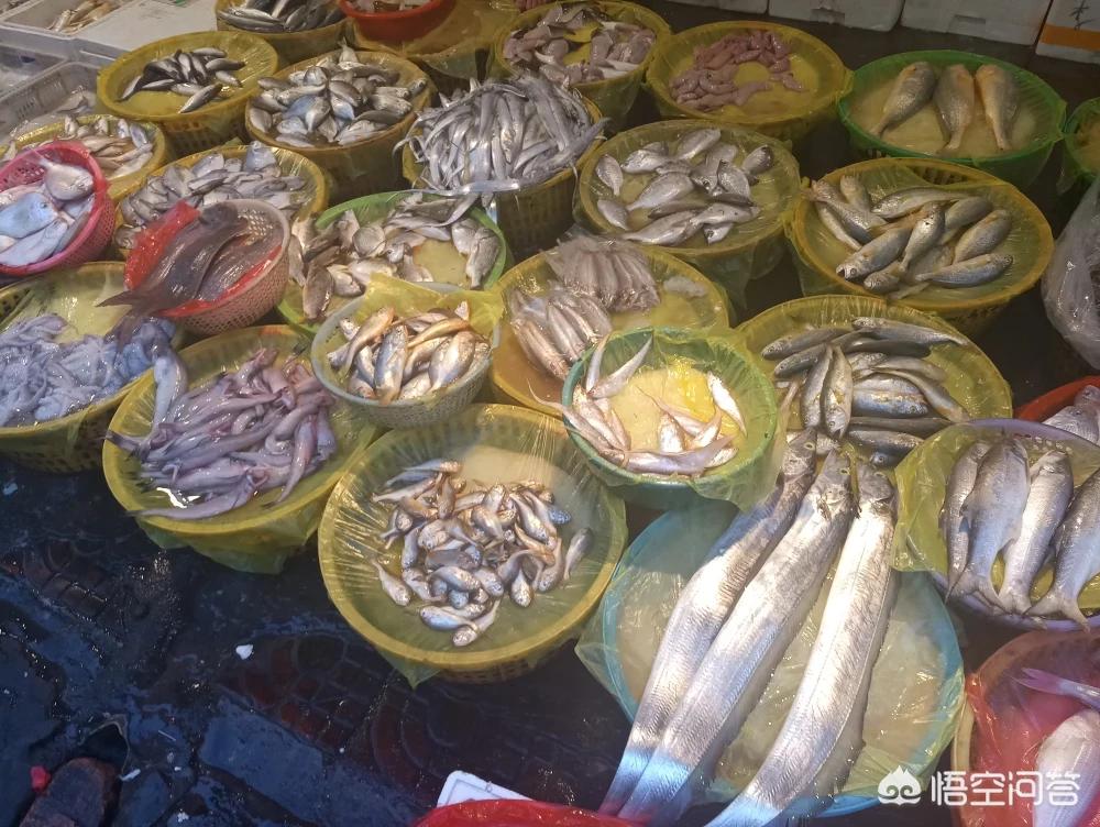 厦门菜市场排名？