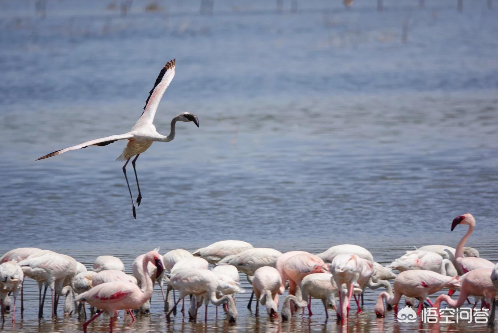 索尼rx10m4索尼rx10m4详细参数