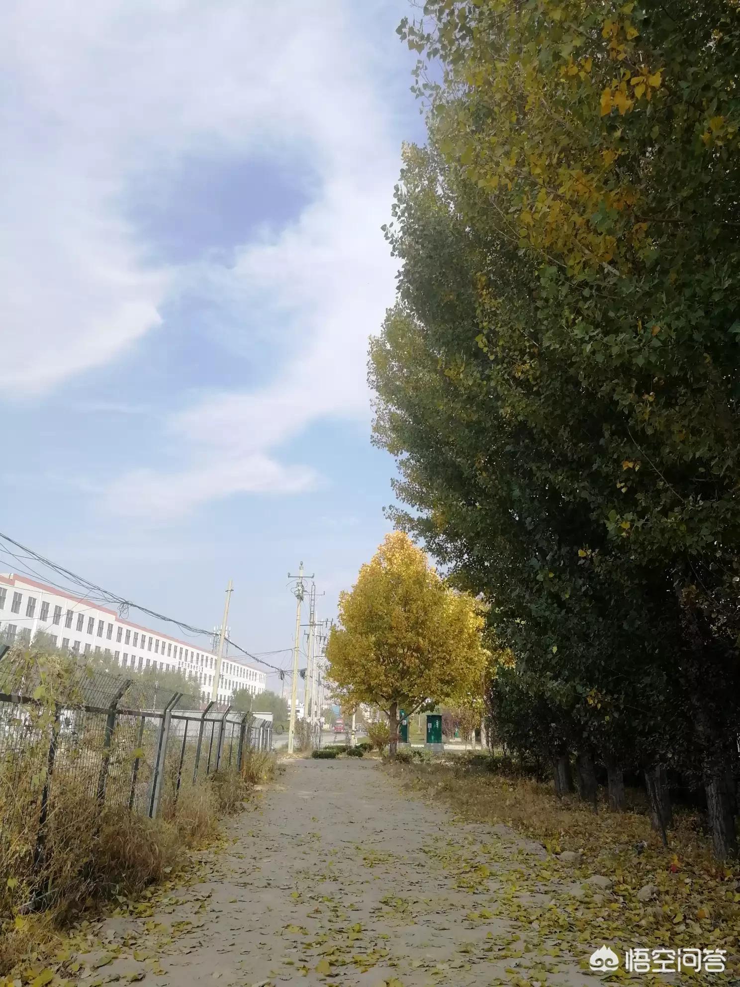 记录海外生活的你是什么歌，记录海外生活的你是什么歌曲