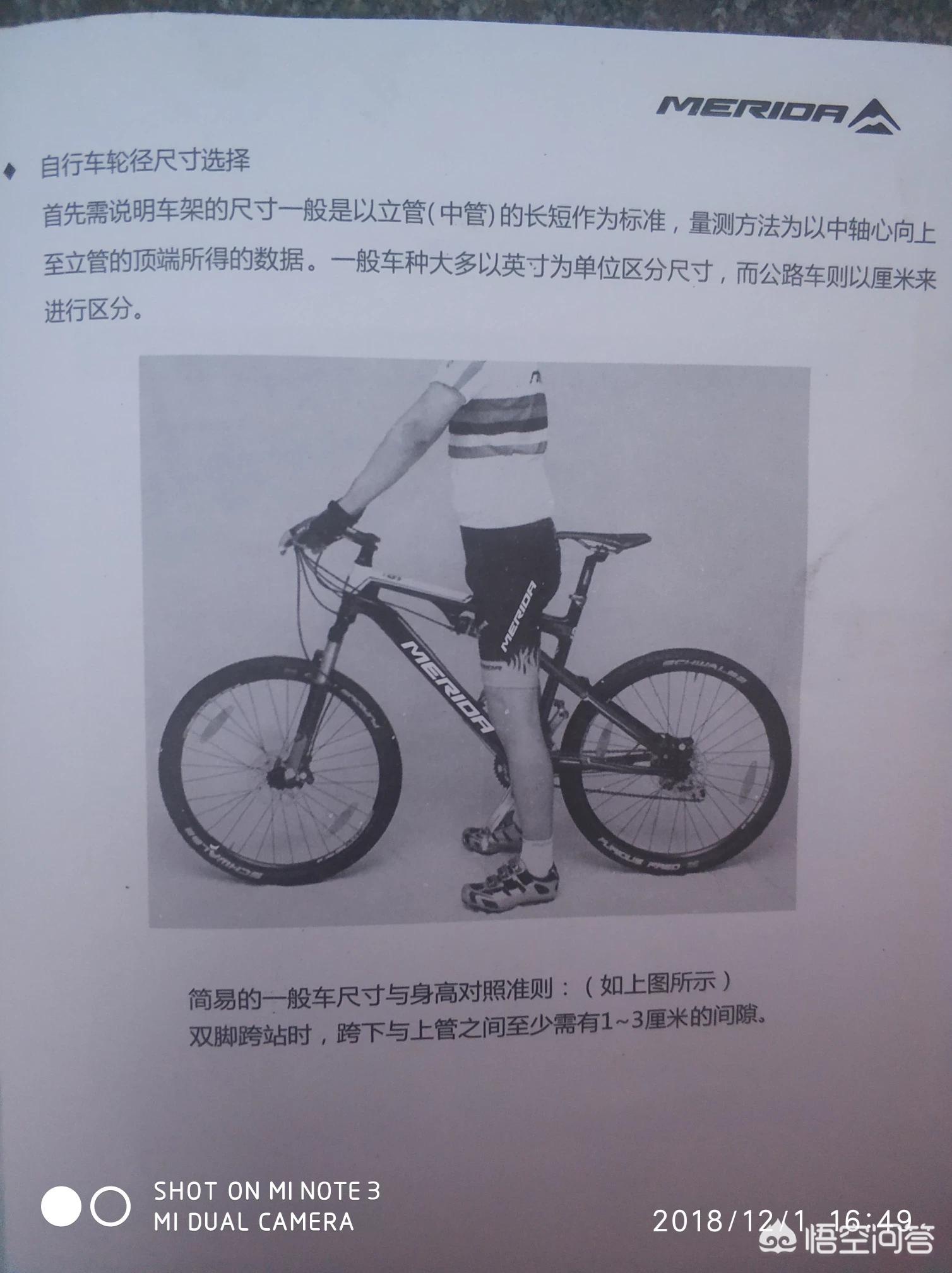 骑汽车报价,骑汽车报价大全