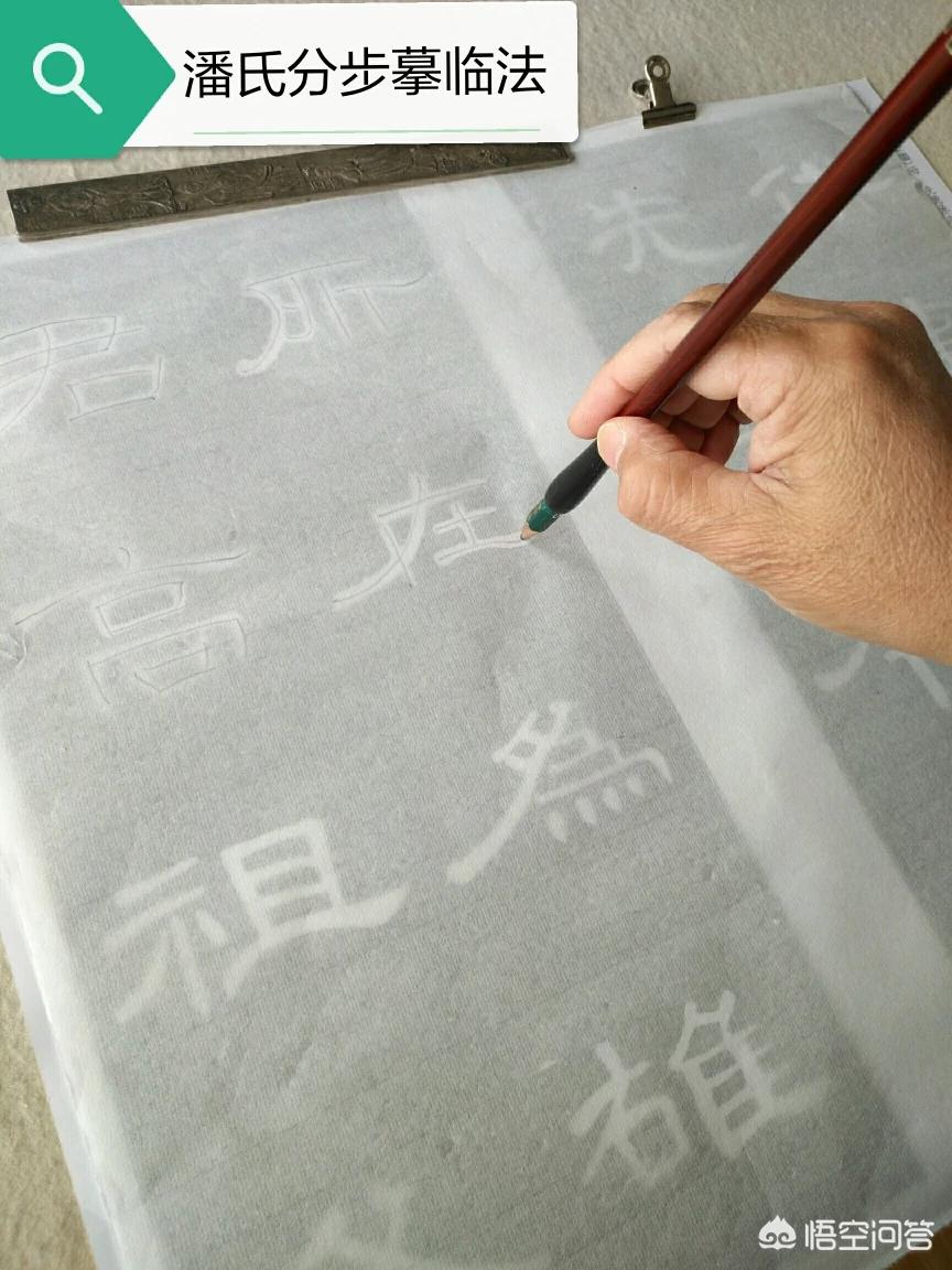 字体草书入门毛笔书法教程