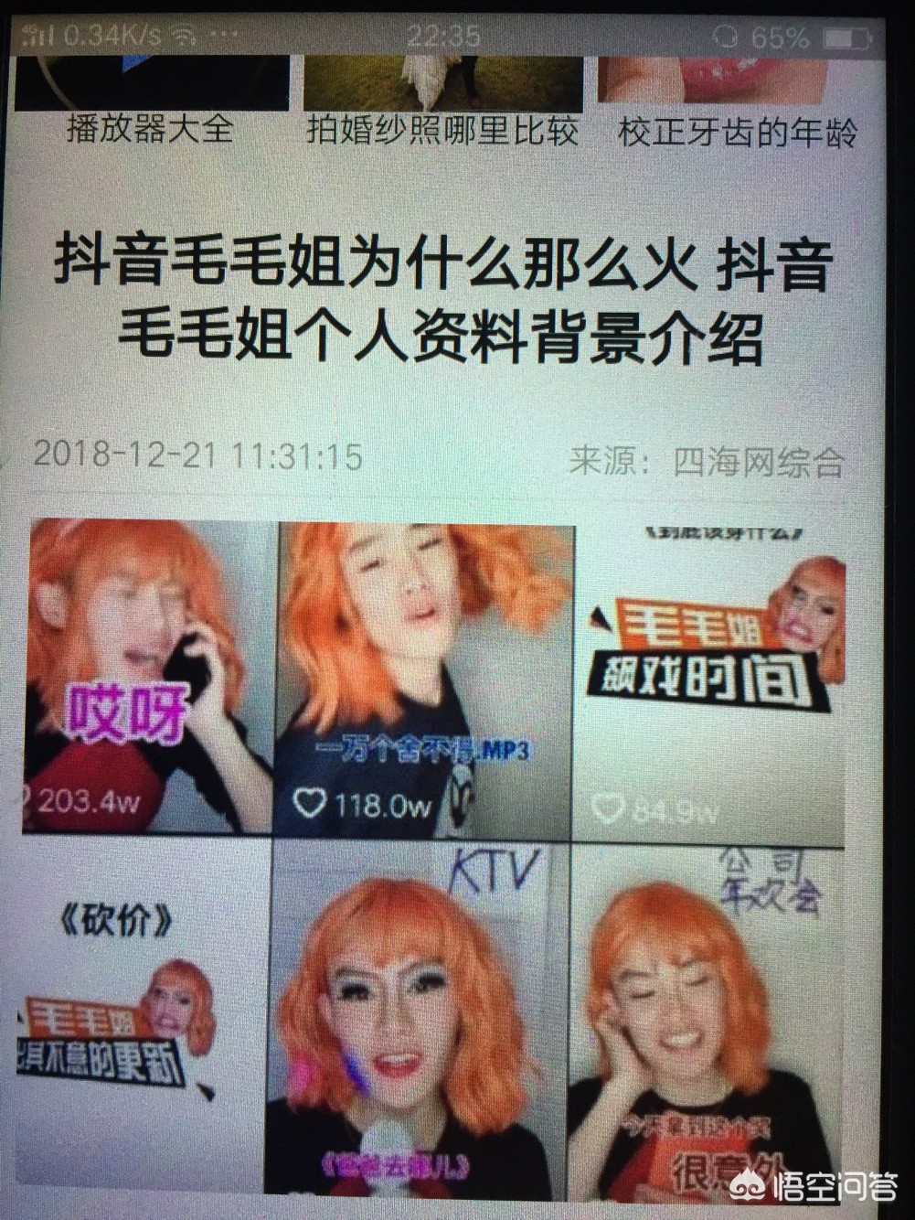 毛姐的海外生活在线观看，毛姐的海外生活在线观看视频