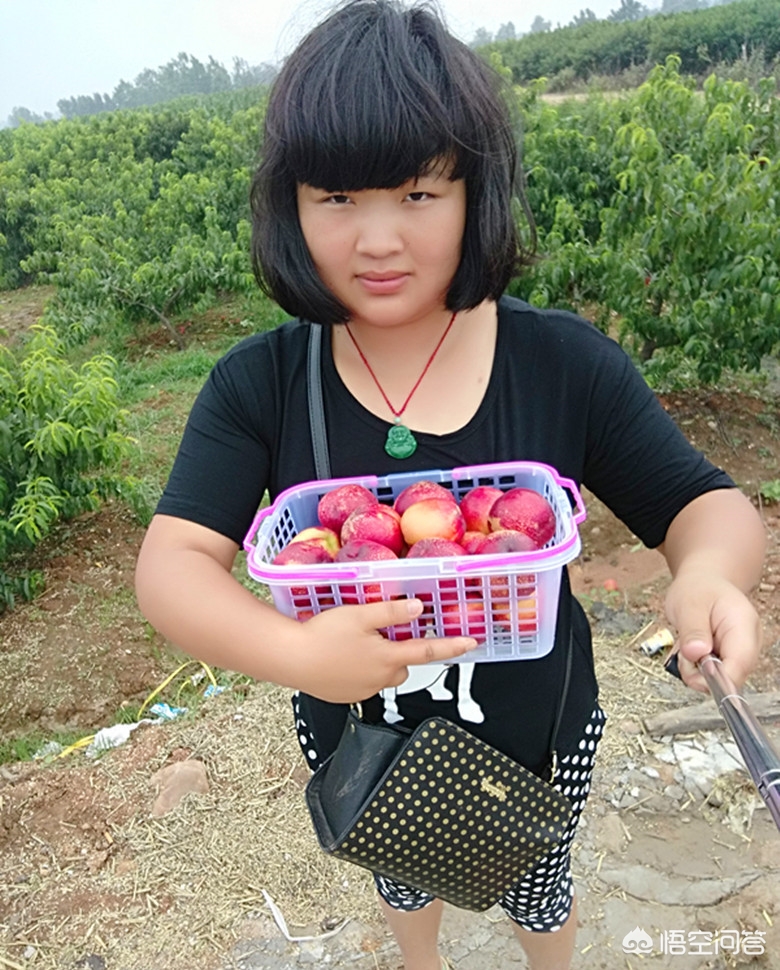 海外生活小哥是谁，海外生活小哥是谁啊