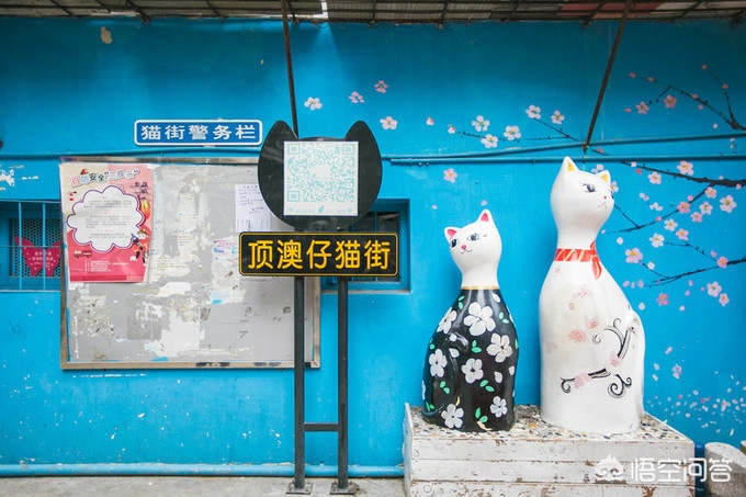 福建的厦门、福州和泉州，旅游方面有什么好玩的？